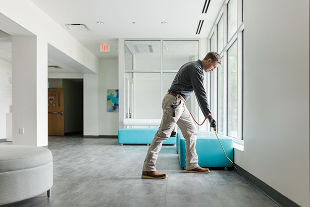 Image showcasing Business Pest Control for Offices & Retail Stores